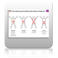 ICE Chart 3 - Key Muscular Slings